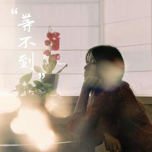 午夜福利09不卡片在线机视频
